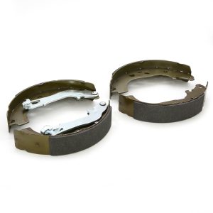 The brake shoes